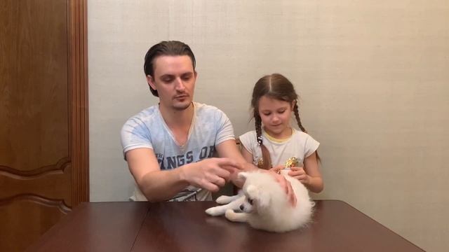 Творческий Гений