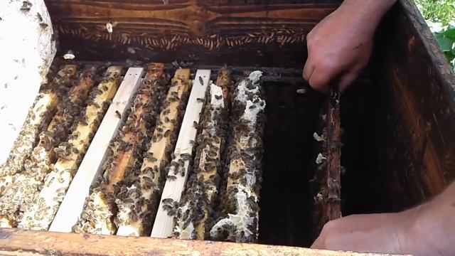 Обслуживание Джентерского сота. смотреть онлайн