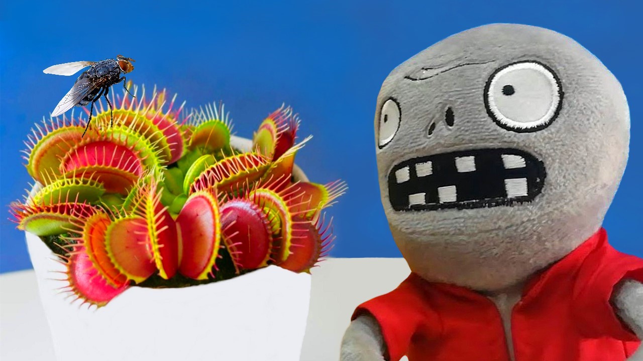 МУХОЛОВКА КУШАЕТ МУХУ | ЗОМБЯШ КОРМИТ ЗУБАСТИКА | РАСТЕНИЯ ПРОТИВ ЗОМБИ (венерина мухоловка) смотреть онлайн