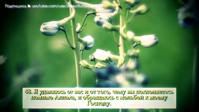 Коран перед сном. Забудите свои проблемы и переживания. И ваша душа расслабиться. смотреть онлайн