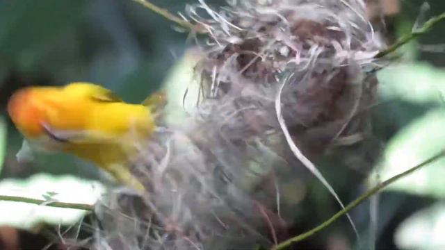 чайковский зимнее утро смотреть онлайн