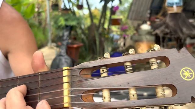 Guitar Classic Yamaha G70A ( Guitar Nhật Biên Hòa 0353685457 смотреть онлайн