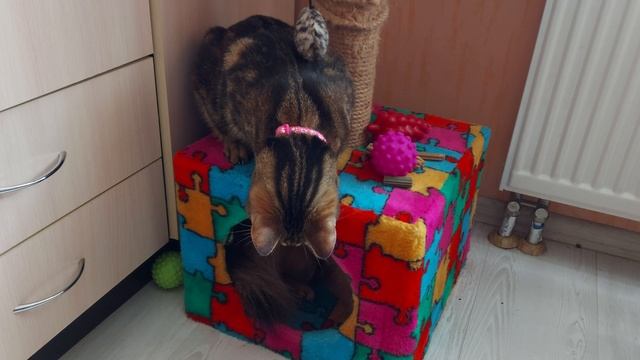 "Адам" и "Ева" дружба на всегда...