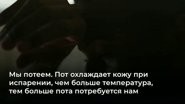 СОЛНЕЧНЫЙ УДАР почему нас клонит в сон в жару смотреть онлайн
