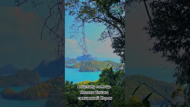 Никогда не теряйте надежду на АЛЛАХ1А #напоминание #религия #islam #чечня #вера #дагестан смотреть онлайн