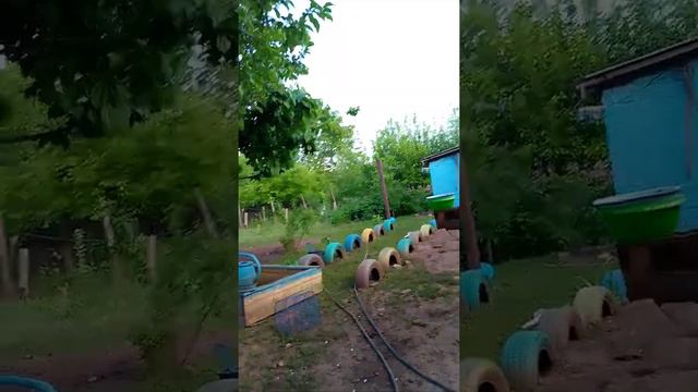 шашлык и рыбка в выходной, преимущества своего дома смотреть онлайн