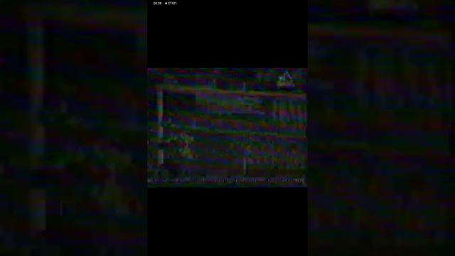 Анонсы и заставки 7тв 2005 смотреть онлайн