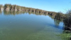 Спиннинг. Ловим на свимбейт.