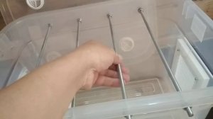 Дегидратор своими руками