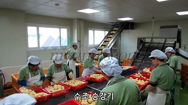 Чистка и вакуумная упаковка картофеля смотреть онлайн