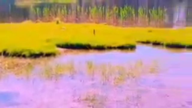 ayatul kursi 4 Qul surah Fatiha (Episode 567) 7 Taims repeat with Arabic Text beautiful (Arsh)#ayat смотреть онлайн