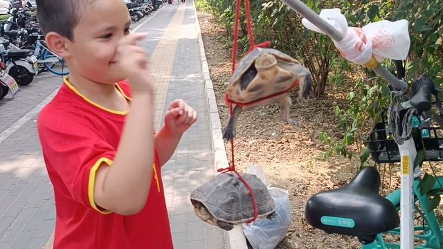 Сколько стоит земноводная черепаха в Китае и что с ними делают? смотреть онлайн