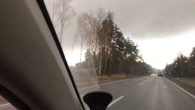 Губернаторская программа по борьбе с короедом-типографом??? смотреть онлайн