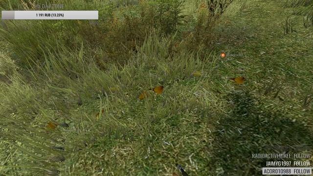 Береговая охрана