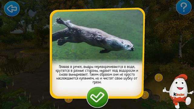 Kinder Сюрприз Animal Planet оживляем животных Песец Выдра и Лиса обзор приложения на Android смотреть онлайн