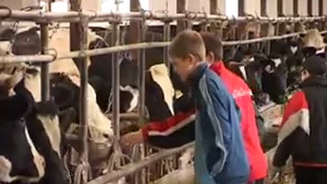 Путешествие в сказку смотреть онлайн