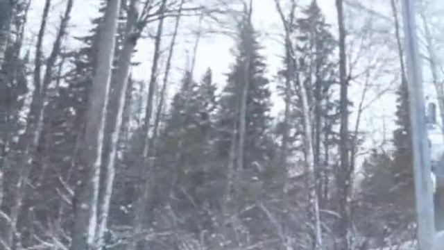 Павловский парк смотреть онлайн