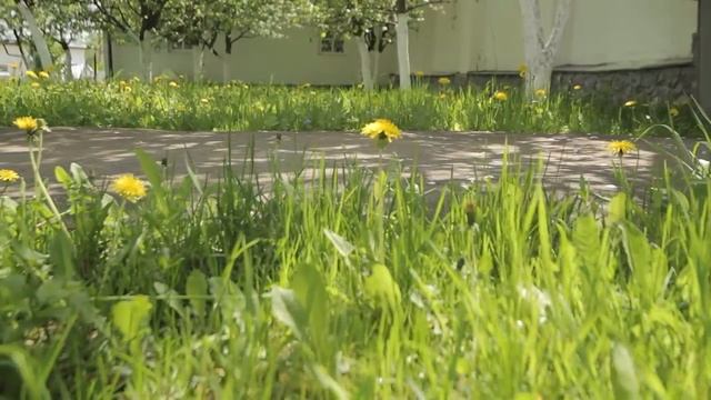 "Искра" Дипломная работа смотреть онлайн