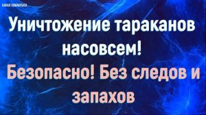 ➤Ультразвук от тараканов  Мощное средство от тараканов Уничтожение тараканов в квартире навсегда