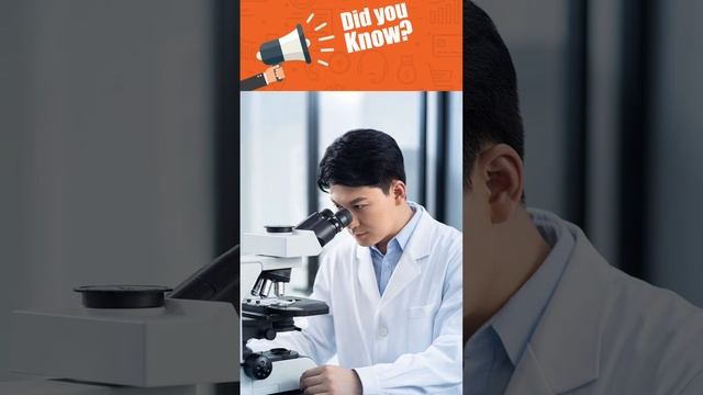 Intermarriage: Genetic consequences смотреть онлайн