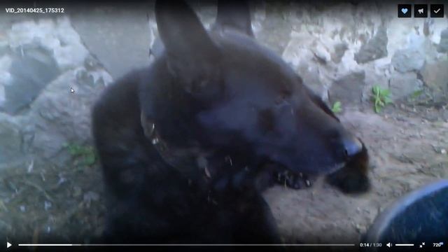 МОИ СТАРЫЕ ВИДЕО ВК смотреть онлайн