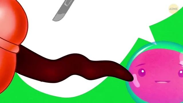 Путешествие по вашему телу..mp4 смотреть онлайн