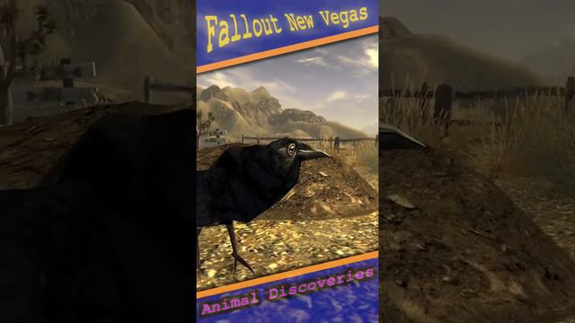 Fallout New Vegas Wildlife Discoveries Part 1 | Eagles and Crows / Ravens | Next Episode Is Fish!!! смотреть онлайн