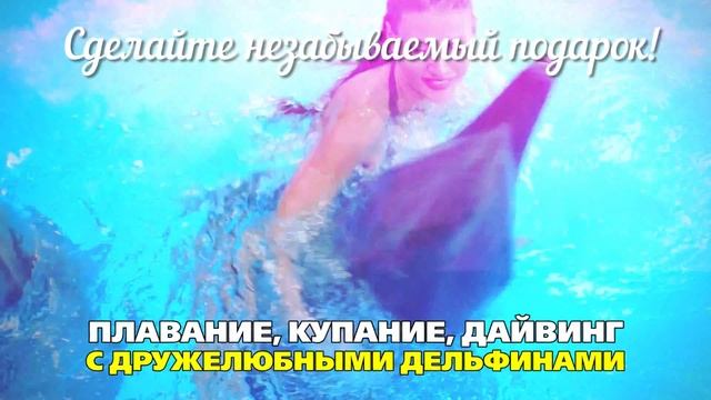 Шоу Жемчужина Одессы 2016 смотреть онлайн