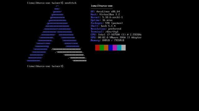 Setting up GUI on Linux with twiner смотреть онлайн