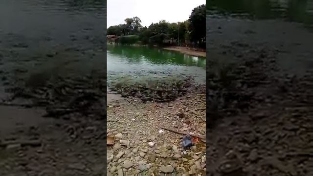 Рыба угарь смотреть онлайн