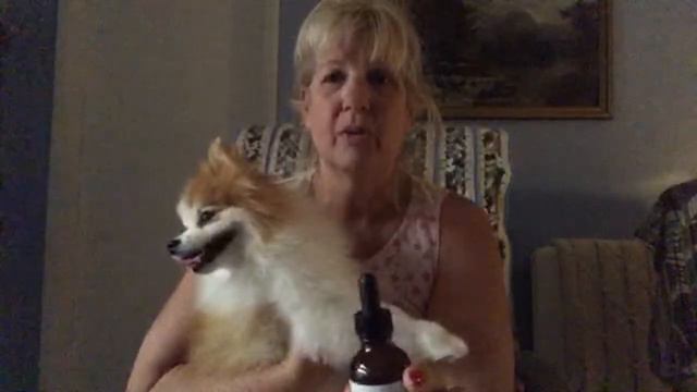 How to lower your pets elevated liver enzymes - dog - cat смотреть онлайн