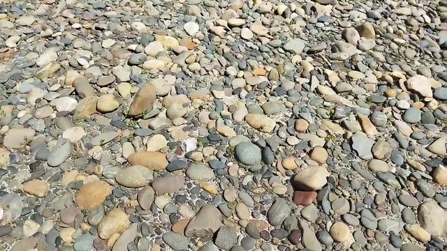 Отдыхаем от огорода. Опять завал. Незваный гость.