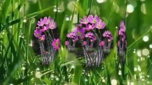 Вальс ??? Красивая музыка смотреть онлайн