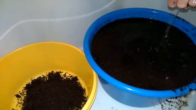 #Натка_солнце // Промываем кокосовый субстрат смотреть онлайн
