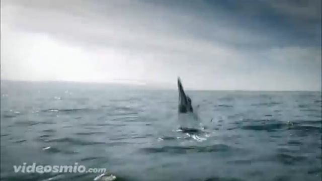 Guinness Evolution (High Quality) смотреть онлайн