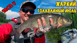 Жаркий голавлиный июль, часть 5, или голавль после грозы