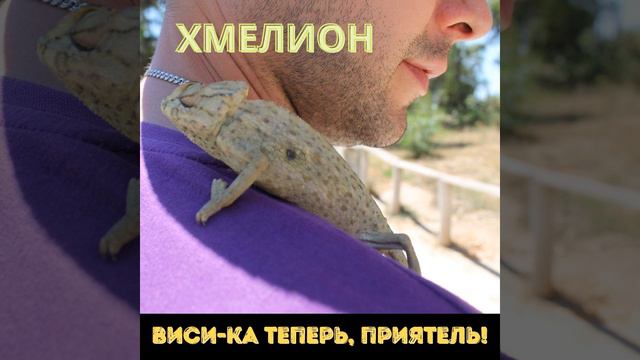 Над пропастью во ржи смотреть онлайн