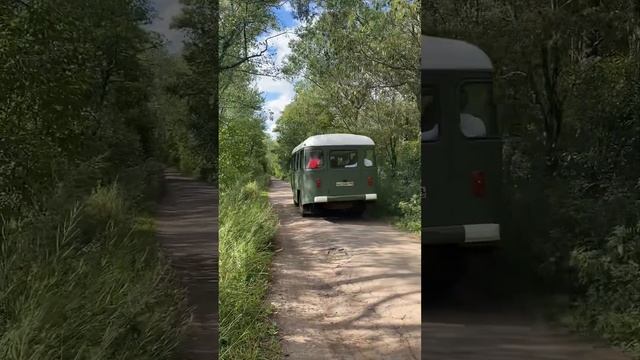 Экотропа в заказнике «Западный Котлин» смотреть онлайн