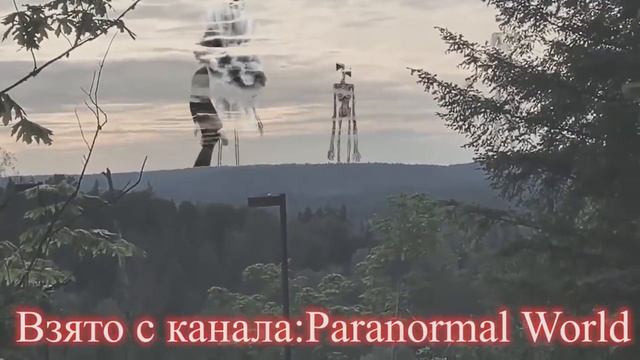 ТОП 20 СИРЕНОГОЛОВЫЙ СНЯТЫЙ НА КАМЕРУ СИРЕНОГОЛОВЫЙ СНЯТЫЙ НА ВИДЕО SIREN HEAD В РЕАЛЬНОЙ ЖИЗНИ смотреть онлайн