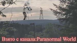 ТОП 20 СИРЕНОГОЛОВЫЙ СНЯТЫЙ НА КАМЕРУ  СИРЕНОГОЛОВЫЙ СНЯТЫЙ НА ВИДЕО  SIREN HEAD В РЕАЛЬНОЙ ЖИЗНИ