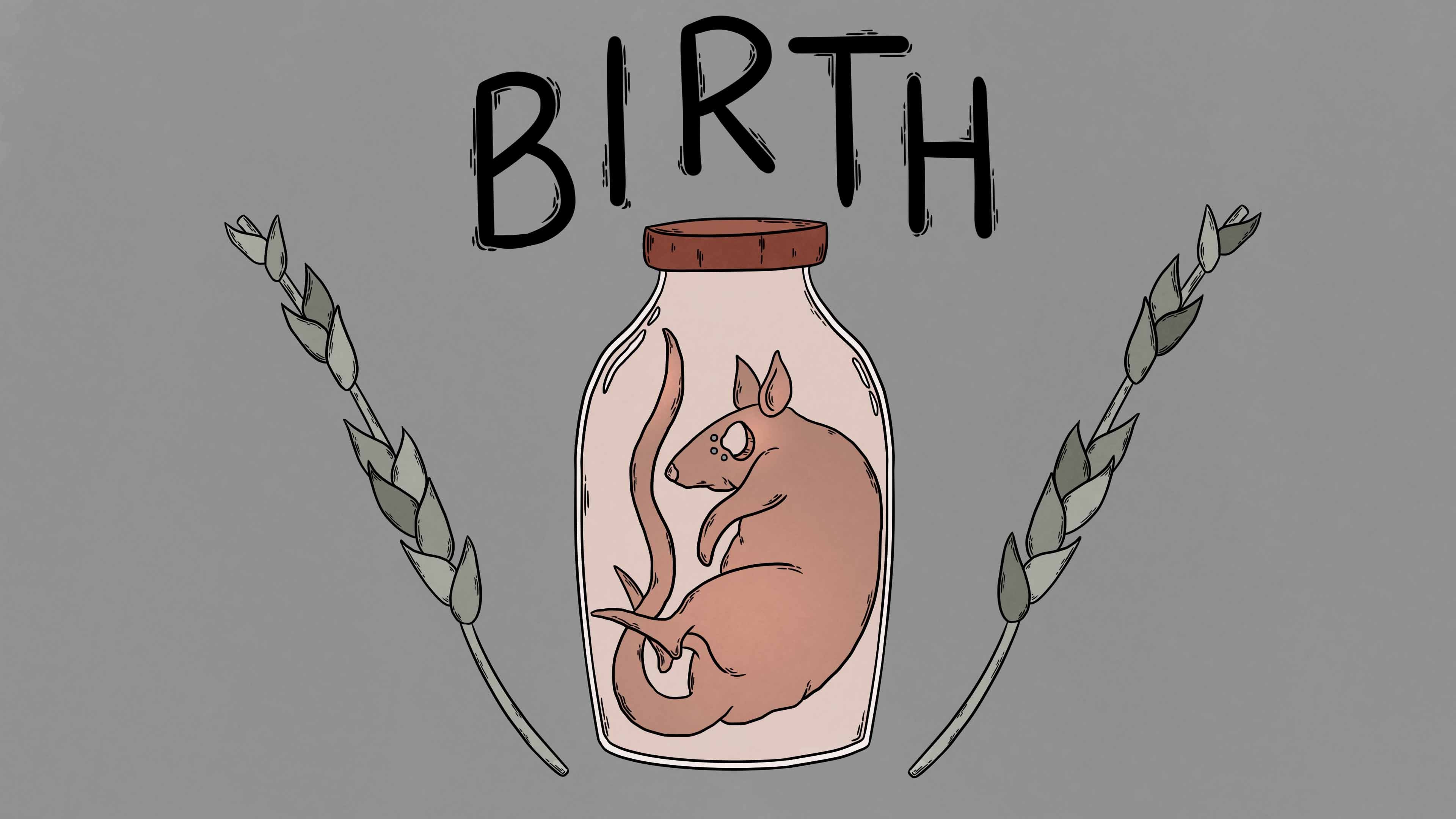 Birth - Trailer - PC - ПК - Steam смотреть онлайн