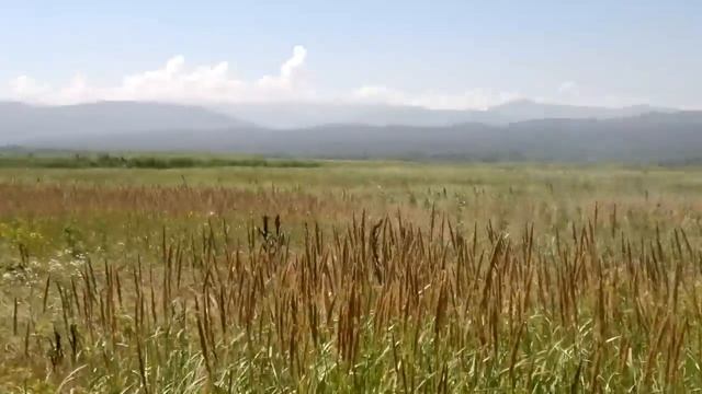 Вова гранатомётчик смотреть онлайн