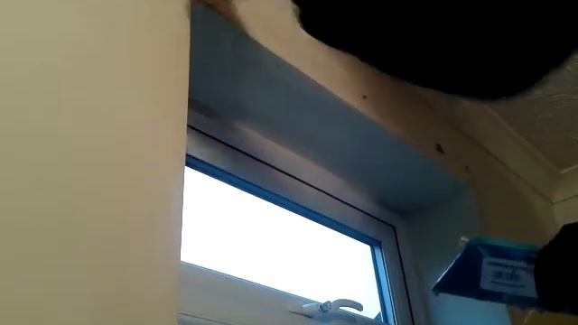 Quick drying , Wall Filler смотреть онлайн