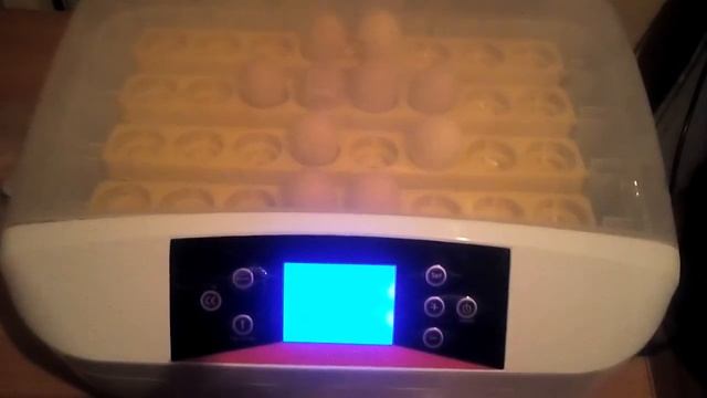 плюсы и минусы инкубатора HHD-32 смотреть онлайн