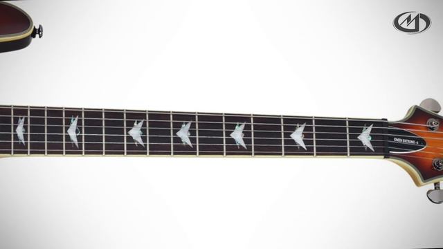SCHECTER OMEN EXTREME 6 VSB смотреть онлайн