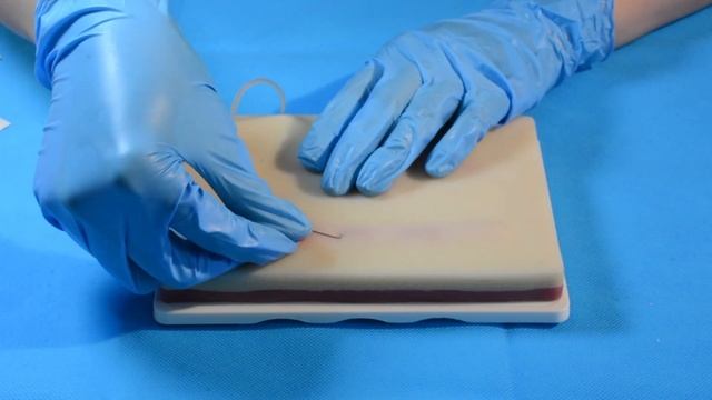 NP/PA/RN Program Venipuncture IV Injection Technique Training Tool смотреть онлайн