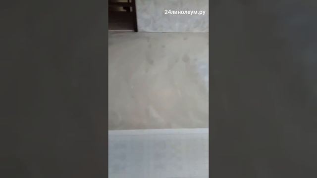 YouCut 20190219 174028952