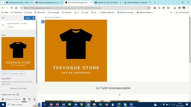 Intégrer un logo de site (WP031) смотреть онлайн
