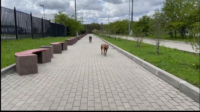 КАК МЫ ПЕРЕЖИВАЕМ ПЕРИОД ТЕЧКИ смотреть онлайн