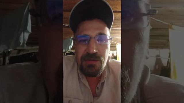 Как отличить врага от друга. Или вопрос о внимании. смотреть онлайн